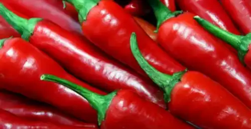 Can capsaicin cause ulcers?